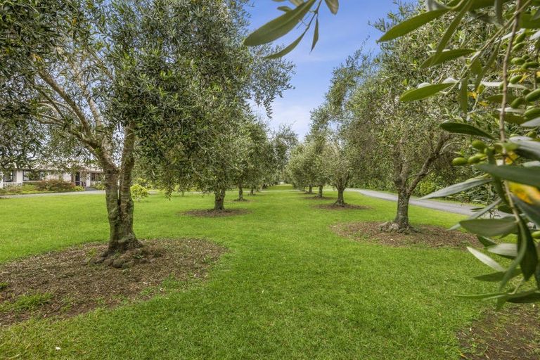 Photo of property in 76 Molesworth Drive, Mangawhai, 0505