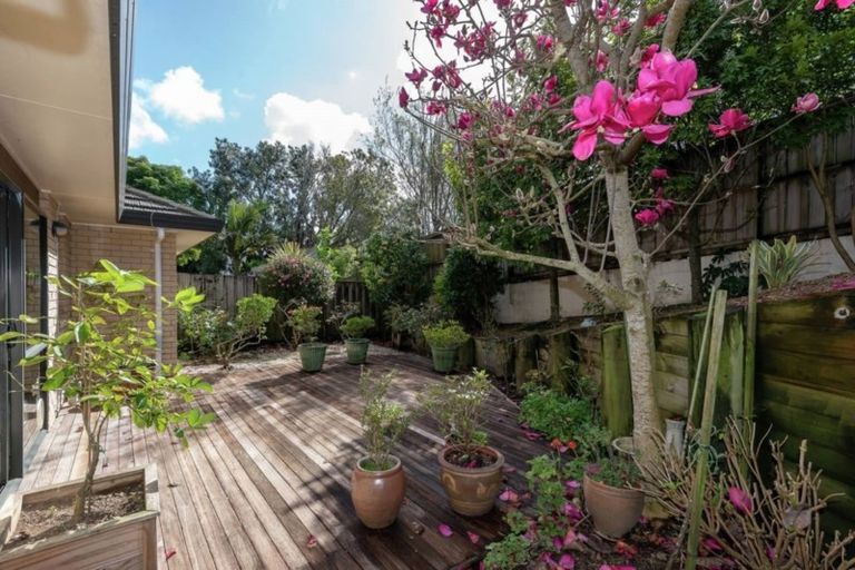 Photo of property in 49 Moore Street, Howick, Auckland, 2014