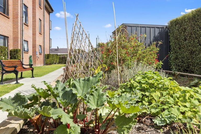 Photo of property in 103/104 Edinburgh Street, Pukekohe, 2120