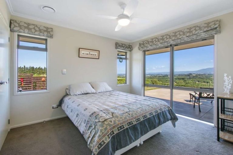 Photo of property in 63 Woodland Road, Tahawai, Katikati, 3170