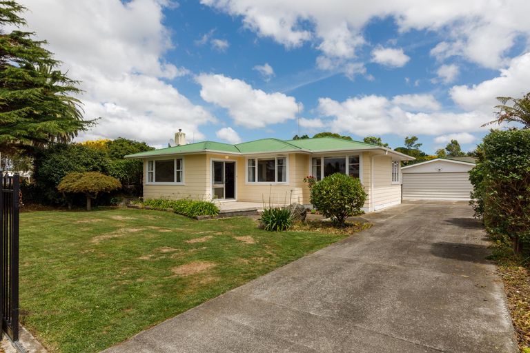 Photo of property in 151 Limbrick Street, Terrace End, Palmerston North, 4410
