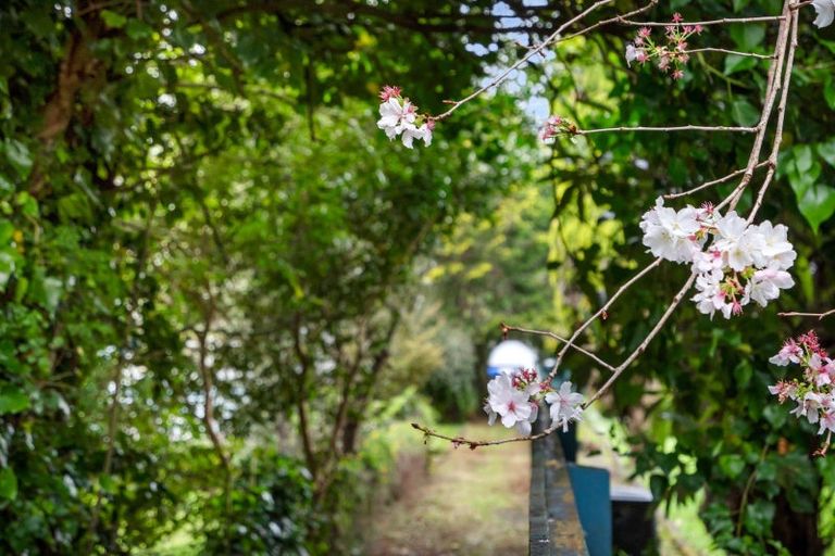 Photo of property in 23 John Mcgill Place, Whau Valley, Whangarei, 0112