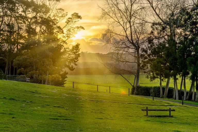 Photo of property in 124 Rimmer Road, Helensville, 0875