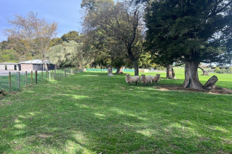 Photo of property in 341 Maharahara Road, Dannevirke, 4972