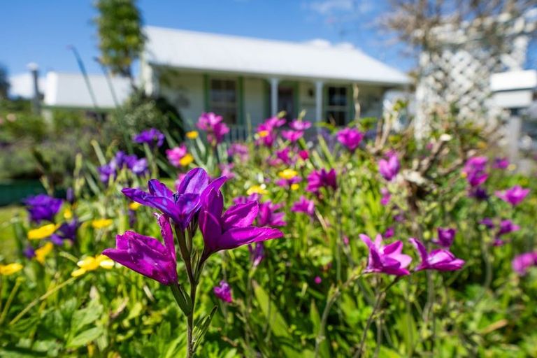 Photo of property in 45 George Street, Hikurangi, 0114