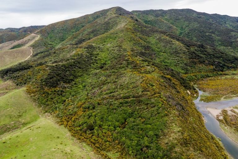 Photo of property in 828 Coast Road, Wainuiomata Coast, Lower Hutt, 5373