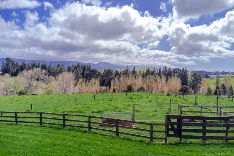 Photo of property in 185a Tipapakuku Road, Dannevirke, 4930