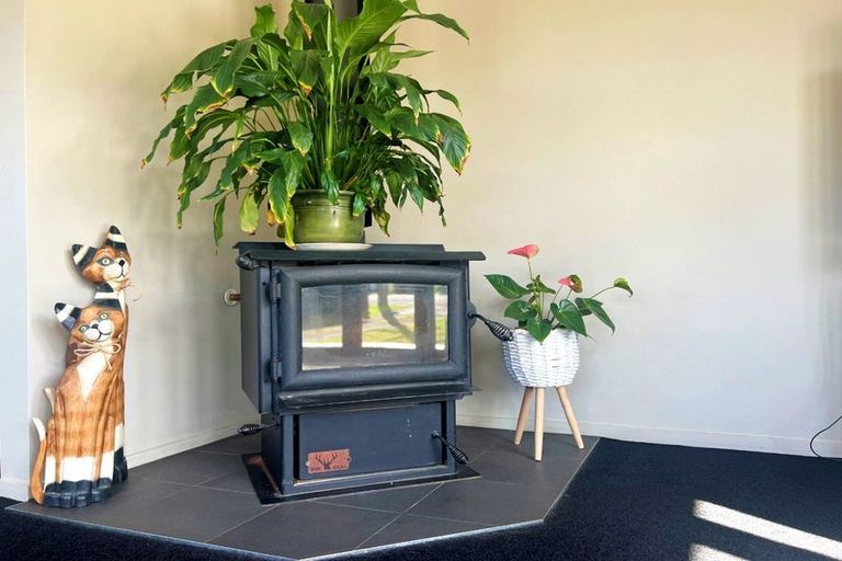 Photo of property in 38 Te Putu Street, Taupiri, 3721