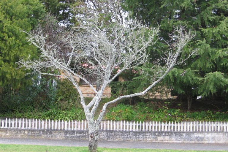 Photo of property in 48 Bruce Avenue, Glenview, Hamilton, 3206