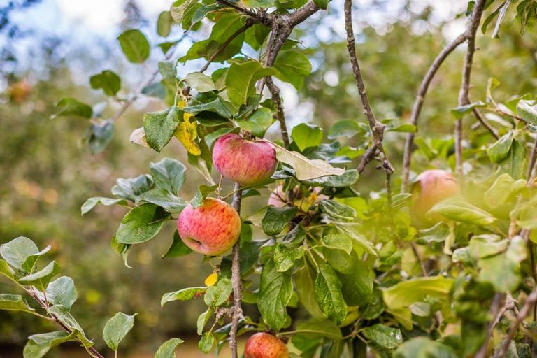 Photo of property in 67 Tarahunga Road, Levin, 5571