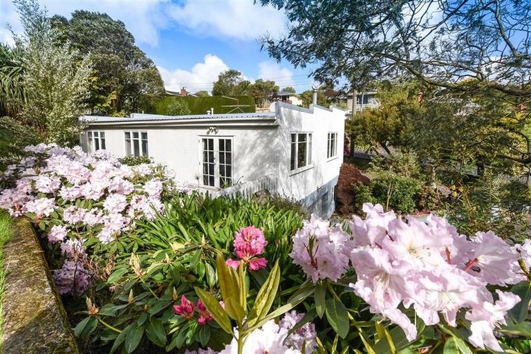 Photo of property in 7 Kenilworth Street, Waverley, Dunedin, 9013