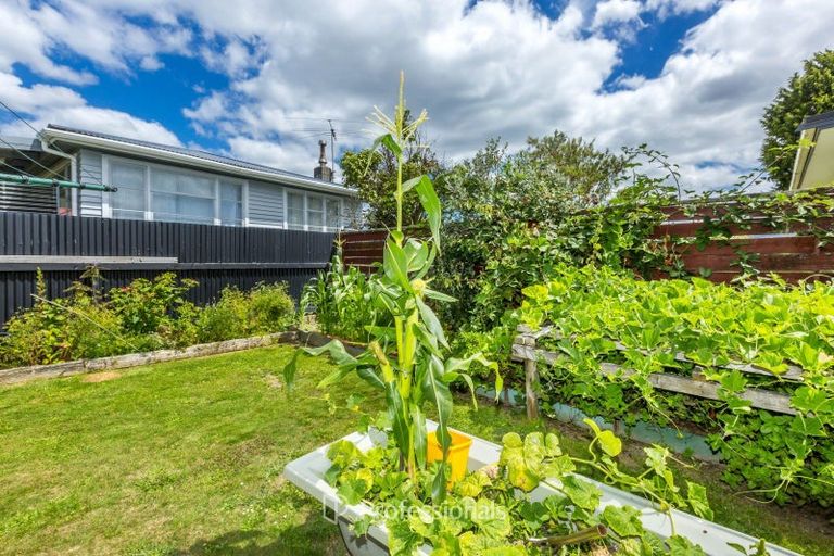 Photo of property in 123 Martin Street, Wallaceville, Upper Hutt, 5018
