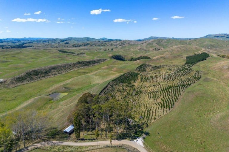 Photo of property in 300 Pattison Road, Akina, Hastings, 4122