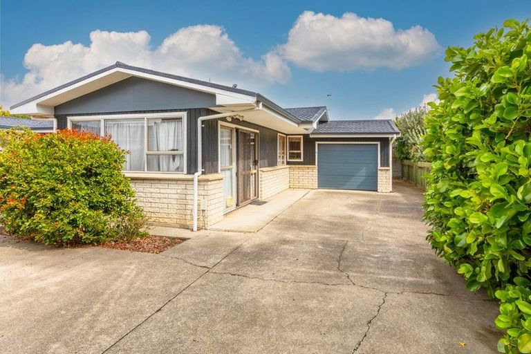 Photo of property in 48a Vigor Brown Street, Napier South, Napier, 4110