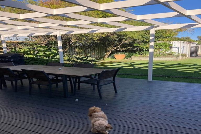 Photo of property in 1a Finnis Lane, Hospital Hill, Napier, 4110