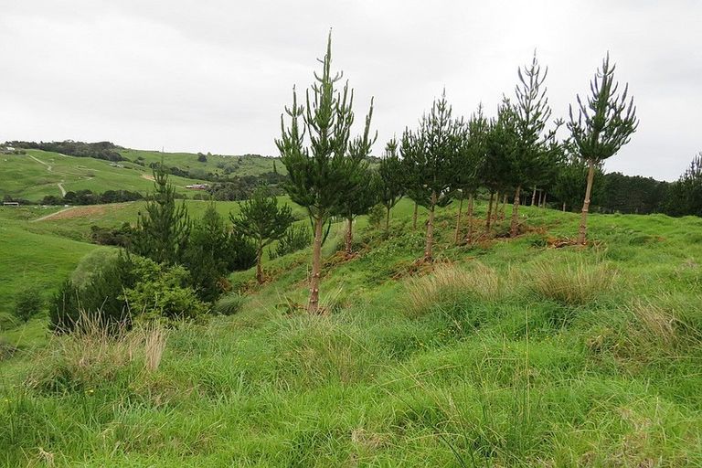 Photo of property in 289 Franklin Road, Paparoa, 0571