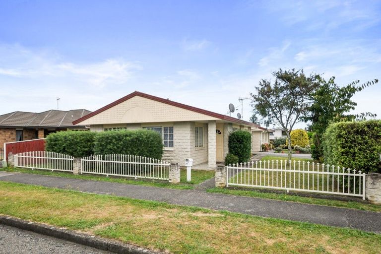 Photo of property in 65 Winchester Street, Levin, 5510