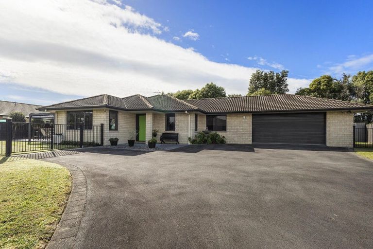 Photo of property in 50 Matipo Street, Matamata, 3400