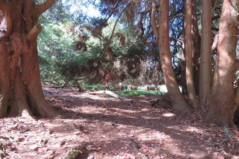 Photo of property in 1232 Bull Road, Paparoa, 0571