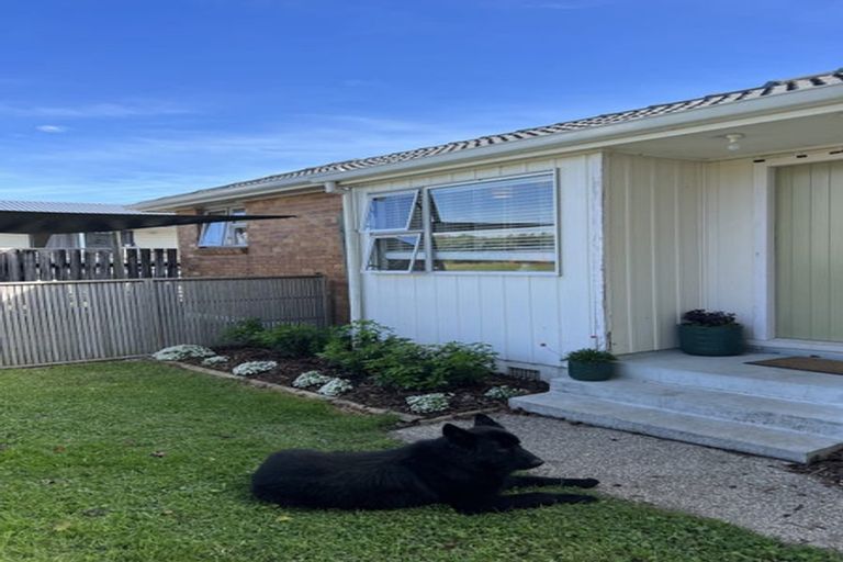 Photo of property in 14a Haukore Street, Hairini, Tauranga, 3112