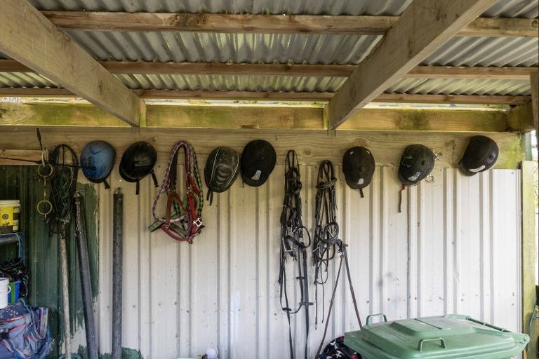 Photo of property in 238 Te Arai Point Road, Te Arai, Wellsford, 0975