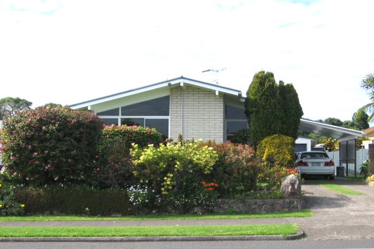 Photo of property in 271 Maungatapu Road, Maungatapu, Tauranga, 3112