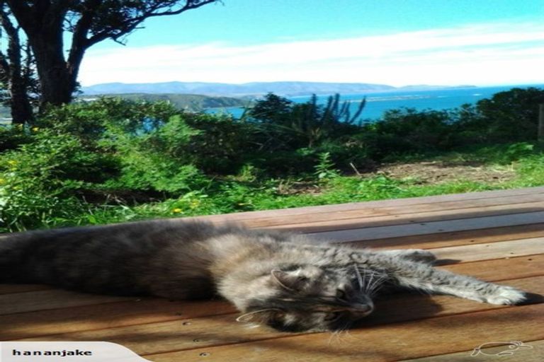 Photo of property in 32 Carlton Street, Melrose, Wellington, 6023