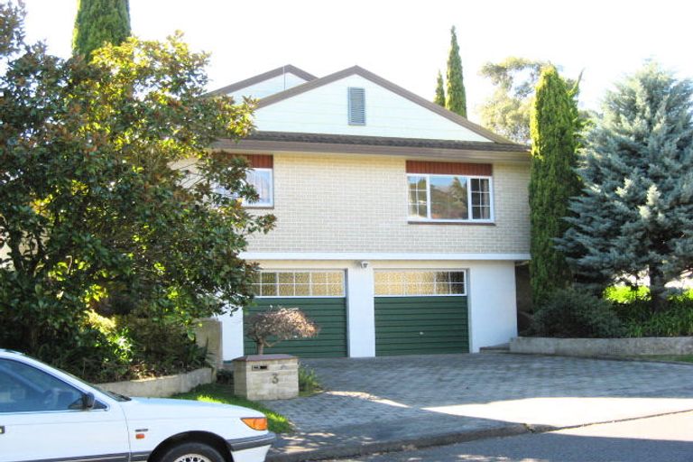 Photo of property in 3 Ritchie Place, Havelock North, 4130