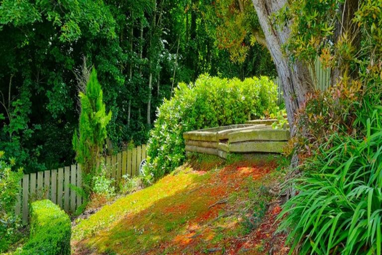 Photo of property in 19 Aberfeldy Street, Lookout Point, Dunedin, 9011