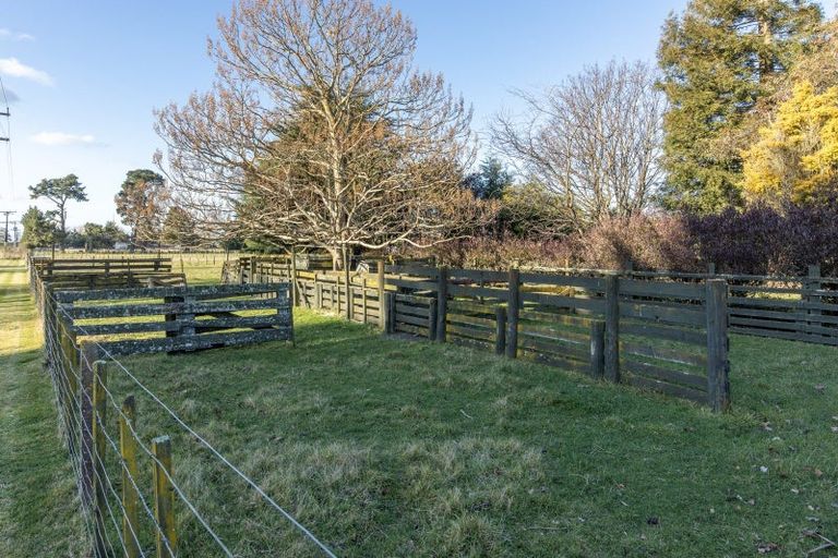 Photo of property in 16 Nancy Street, Takapau, 4203