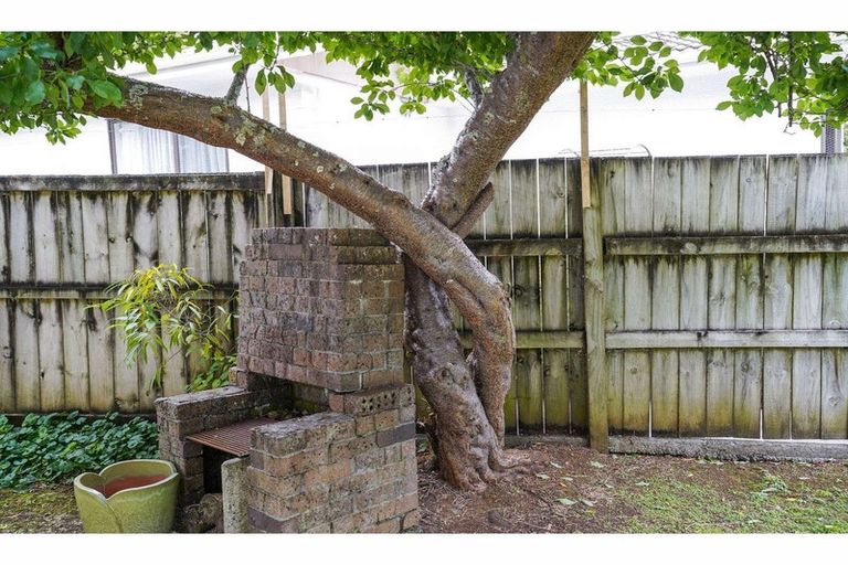 Photo of property in 7 Amokura Drive, Kerikeri, 0230