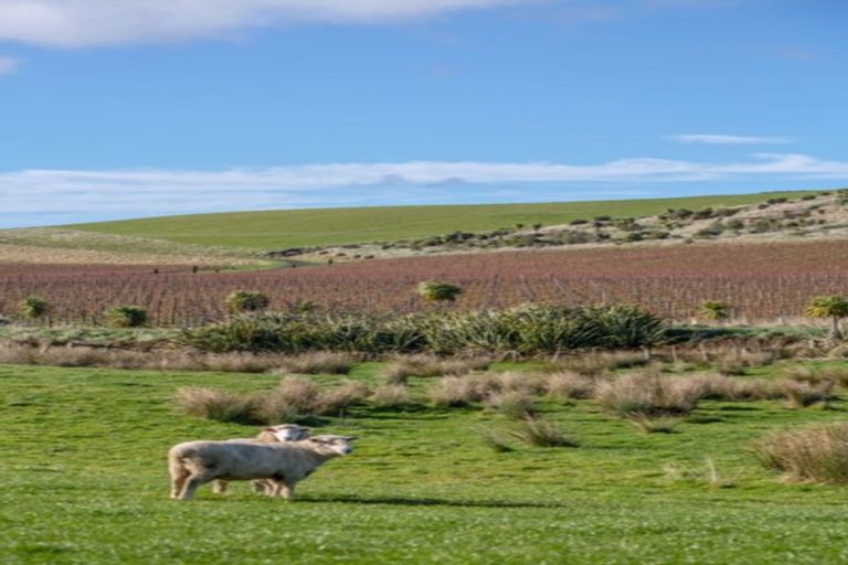 Photo of property in 962 Lake Ferry Road, Dyerville, Martinborough, 5781