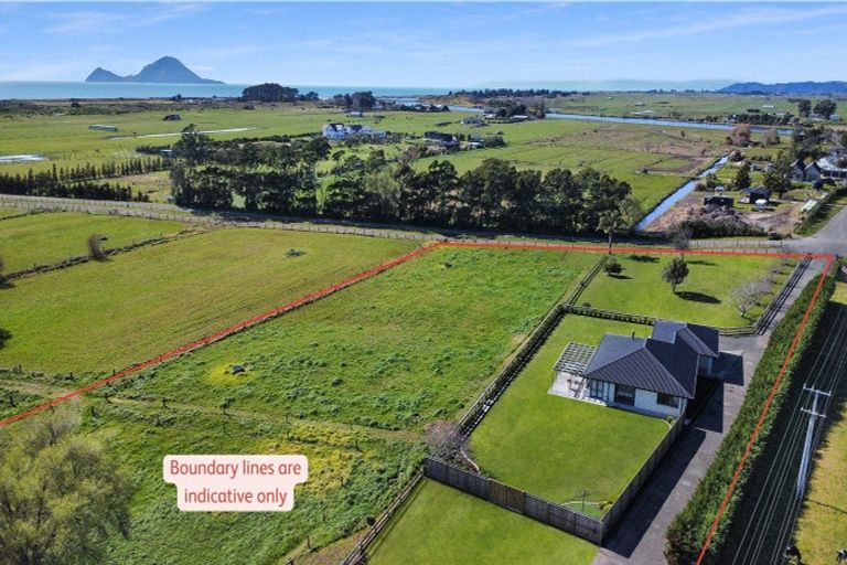 Photo of property in 42 Moore Road, Thornton, Whakatane, 3194