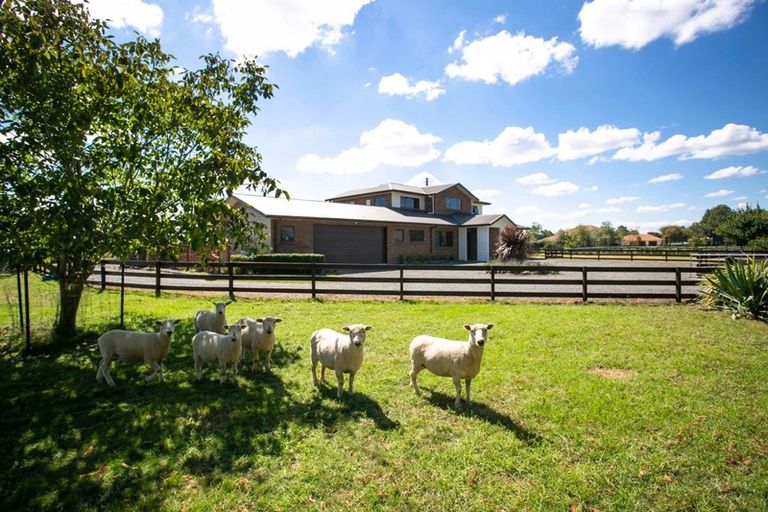 Photo of property in 25 Benn Road, Cambridge, 3495