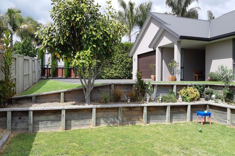 Photo of property in 24 Dayna Avenue, Ohauiti, Tauranga, 3112