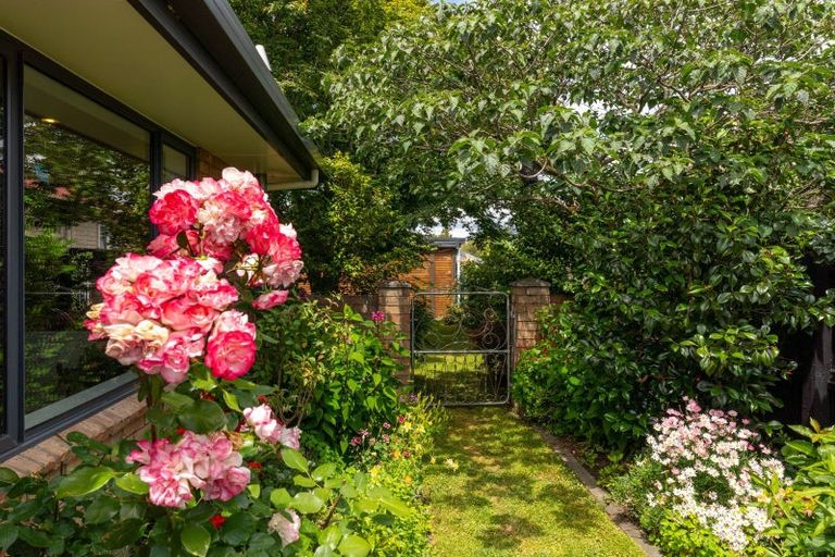 Photo of property in 10 New Renwick Road, Redwoodtown, Blenheim, 7201