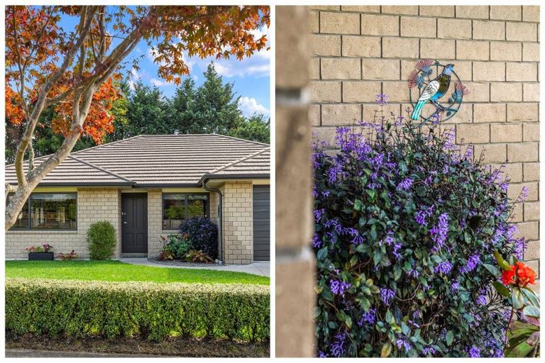 Photo of property in 22 Bertrowe Drive, Ohauiti, Tauranga, 3112