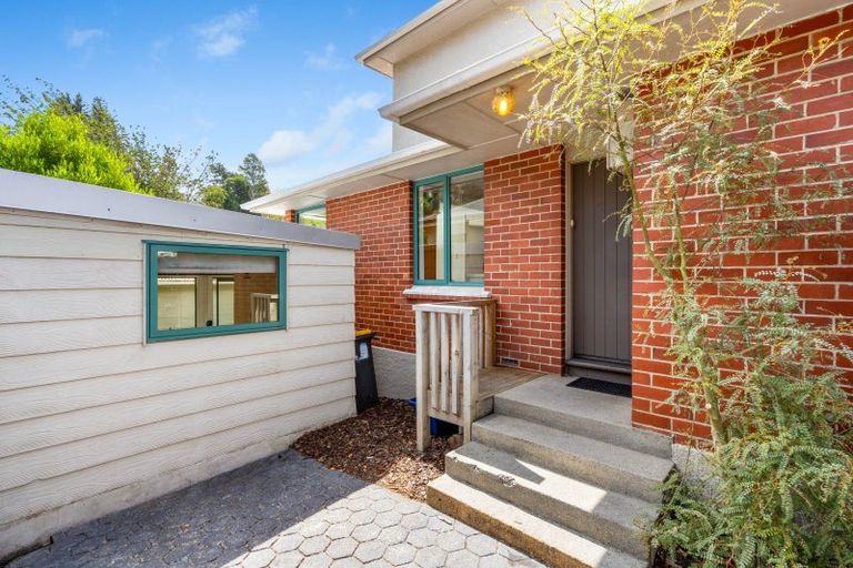 Photo of property in 183 Helensburgh Road, Wakari, Dunedin, 9010