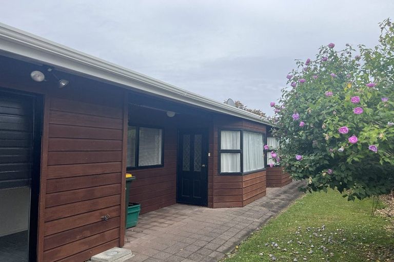 Photo of property in 41 Keepa Street, Levin, 5510