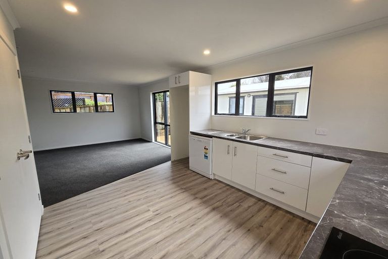 Photo of property in 17c-d Graham Street, Levin, 5510
