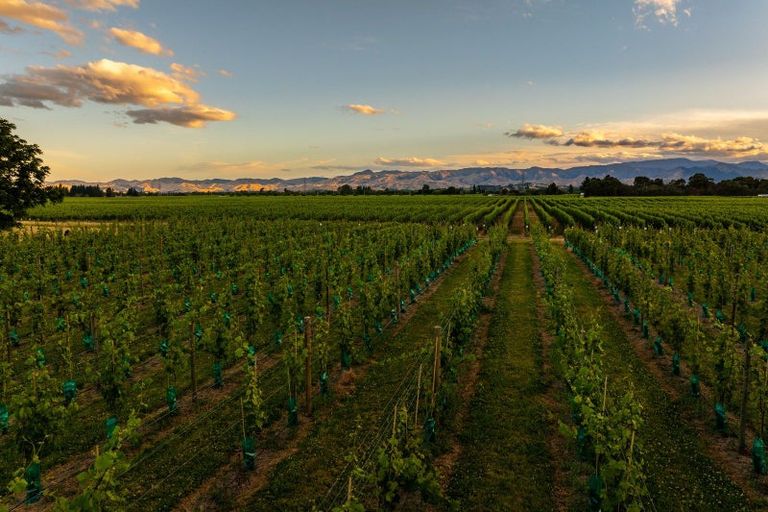 Photo of property in 30 Rapaura Road, Renwick, Blenheim, 7273