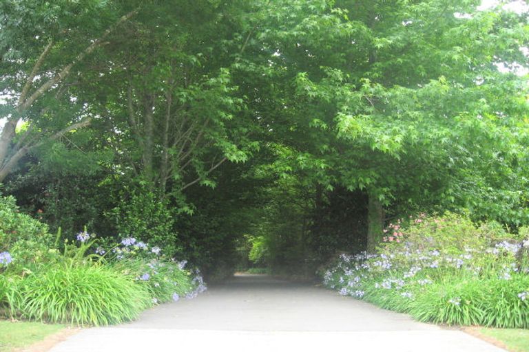 Photo of property in 269 Boucher Avenue, Te Puke, 3119