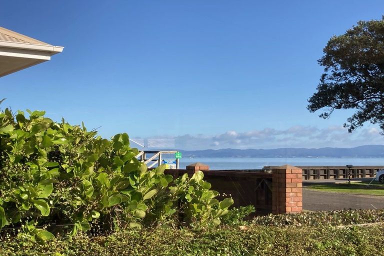 Photo of property in 102 Robert Street, Thames, 3500