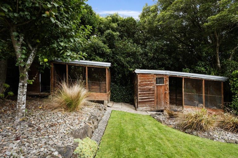 Photo of property in 50 Every Street, Andersons Bay, Dunedin, 9013