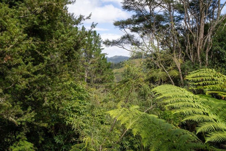 Photo of property in 110a Waipa Heights Road, Ngaruawahia, 3793