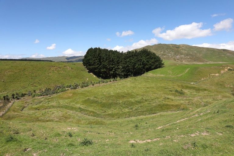 Photo of property in 50 Highland View Drive, Tokomaru, Palmerston North, 4474