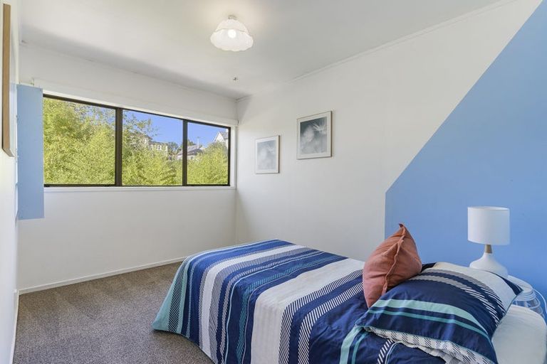 Photo of property in 25 Windmill Road, Mount Eden, Auckland, 1024