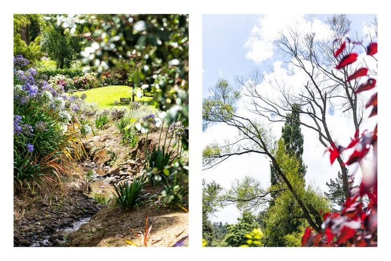 Photo of property in 127 Kauaeranga Valley Road, Thames, 3577