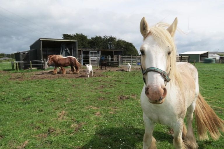 Photo of property in 1326 Upland Road, Kaimiro, Inglewood, 4386