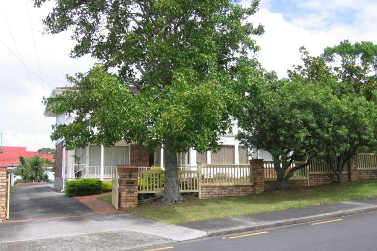Photo of property in 3 Camellia Place, Mount Roskill, Auckland, 1041